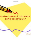 Bài giảng Đại cương virus và các virus gây bệnh thường gặp - GV. Lại Tiến Thành