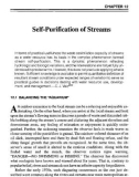 STREAM ECOLOGY & SELF PURIFICATION: An Introduction - Chapter 12