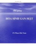 Bài giảng sinh hóa - Hóa sinh gan mật part 1