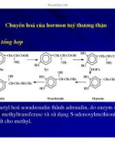 Bài giảng sinh hóa -Hóa sinh Hormon part 9