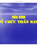 Bài giảng sinh hóa - Hóa sinh tổ chức thần kinh part 1