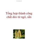 Tổng hợp thành công chất dẻo từ ngô, sắn