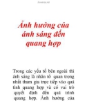 Ảnh hưởng của ánh sáng đến quang hợp