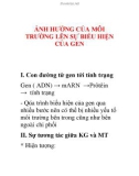 ảnh hửơng của môi trừơng lên biểu hiện của gen