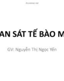 Bài giảng Thực hành Vi sinh - Ký sinh trùng: Quan sát tế bào máu - GV. Nguyễn Thị Ngọc Yến