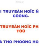 Giáo án điện tử: Di truyền học phân tử