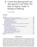 SOIL ORGANIC MATTER IN SUSTAINABLE AGRICULTURE - CHAPTER 7