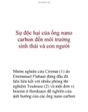 Sự độc hại của ống nano carbon đến môi trường sinh thái và con người