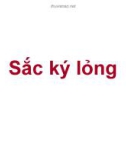 SẮC KÝ LỎNG