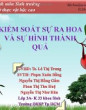 Bài thuyết trình môn Sinh trưởng và phát triển ở thực vật bậc cao