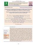 Deciphering the morphological, physiological and biochemical mechanism associated with drought stress tolerance in tomato genotypes