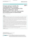 Estrogen exposure overrides the masculinizing effect of elevated temperature by a downregulation of the key genes implicated in sexual differentiation in a fish with mixed genetic and environmental sex determination