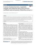 A review of phytochemistry, metabolite changes, and medicinal uses of the common sunflower seed and sprouts (Helianthus annuus L.)