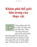 Khám phá thế giới bên trong của thực vật