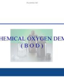 Bài giảng Biochemical Oxygen Demand (BOD)