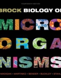 Ebook Brock Biology of Microorganisms (14th Edition): Part 1