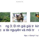 Bài giảng Kinh tế và quản lý môi trường: Chương 3 - Nguyễn Quang Hồng