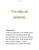 Tìm hiểu về prebiotic