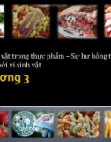 Bài giảng Vi sinh thực phẩm: Chương 3 - Nguyễn Minh Hiền