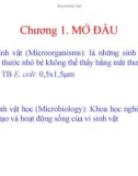 Bài giảng Vi sinh vật thực phẩm - Chương 1: Mở đầu