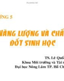 Bài giảng môn Công nghệ sinh học môi trường: Chương 5 - TS. Lê Quốc Tuấn