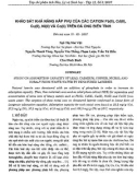 Khảo sát khả năng hấp phụ của các cation Pb(II), Cd(II), Cu(II), Ni(II) và Co(II) trên đá ong biến tính