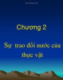 Bài giảng Sinh lý học thực vật - Chương 2: Sự trao đổi nước của thực vật