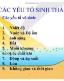 Các yếu tố sinh thái