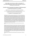 Phát hiện gen liên quan đến sự sinh độc tố cylindrospermopsin trong mẫu sinh khối vi khuẩn lam bằng kỹ thuật PCR