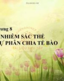 Bài giảng Sinh học đại cương - Chương 8: Nhiễm sắc thể và sự phân chia tế bào