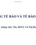 Bài giảng Màng tế bào và tế bào chất - Ths. Vũ Thị Huyền