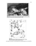 Khí tượng học synốp (Phần nhiệt đới) - Trần Công Minh Phần 6