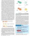 Công nghệ gene : Cơ sở phân tử của di truyền part 2