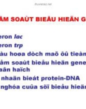 Kiểm soát biểu hiện Gene