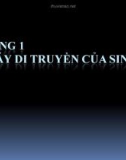 Bài giảng Chương 1: Bộ máy di truyền của sinh vật