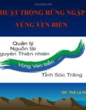 KỸ THUẬT TRỒNG RỪNG NGẬP MẶN VÙNG VEN BIỂN