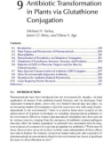 Fate of Pharmaceuticals in the Environment and in Water Treatment Systems - Chapter 9