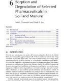 Fate of Pharmaceuticals in the Environment and in Water Treatment Systems - Chapter 6