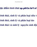 Bài giảng Vi sinh vật học: Chương 4 - Đặc điểm hình thái và phân loại siêu vi khuẩn