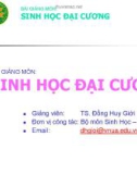 Bài giảng Sinh học đại cương: Chương 4, 5 - TS. Đồng Huy Giới