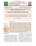 Molecular investigation of Rifampicin resistance in clinical isolates of Mycobacterium ulcerans in Côte D'ivoire