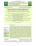 Integrated evaluation of new fungicides and bioagents for the management of banded leaf and sheath blight of maize