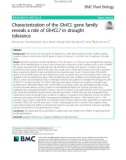 Characterization of the Gh4CL gene family reveals a role of Gh4CL7 in drought tolerance