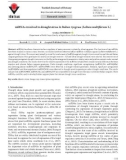 miRNAs involved in drought stress in Italian ryegrass (Lolium multiflorum L.)