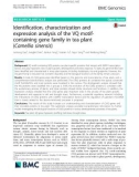 Identification, characterization and expression analysis of the VQ motifcontaining gene family in tea plant (Camellia sinensis)