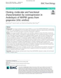 Cloning, molecular and functional characterization by overexpression in Arabidopsis of MAPKK genes from grapevine (Vitis vinifera)