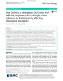 Rice OsRH58, a chloroplast DEAD-box RNA helicase, improves salt or drought stress tolerance in Arabidopsis by affecting chloroplast translation