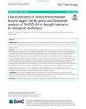 Characterization of wheat homeodomainleucine zipper family genes and functional analysis of TaHDZ5-6A in drought tolerance in transgenic Arabidopsis