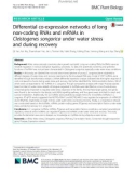 Differential co-expression networks of long non-coding RNAs and mRNAs in Cleistogenes songorica under water stress and during recovery