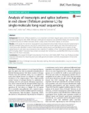 Analysis of transcripts and splice isoforms in red clover (Trifolium pratense L.) by single-molecule long-read sequencing